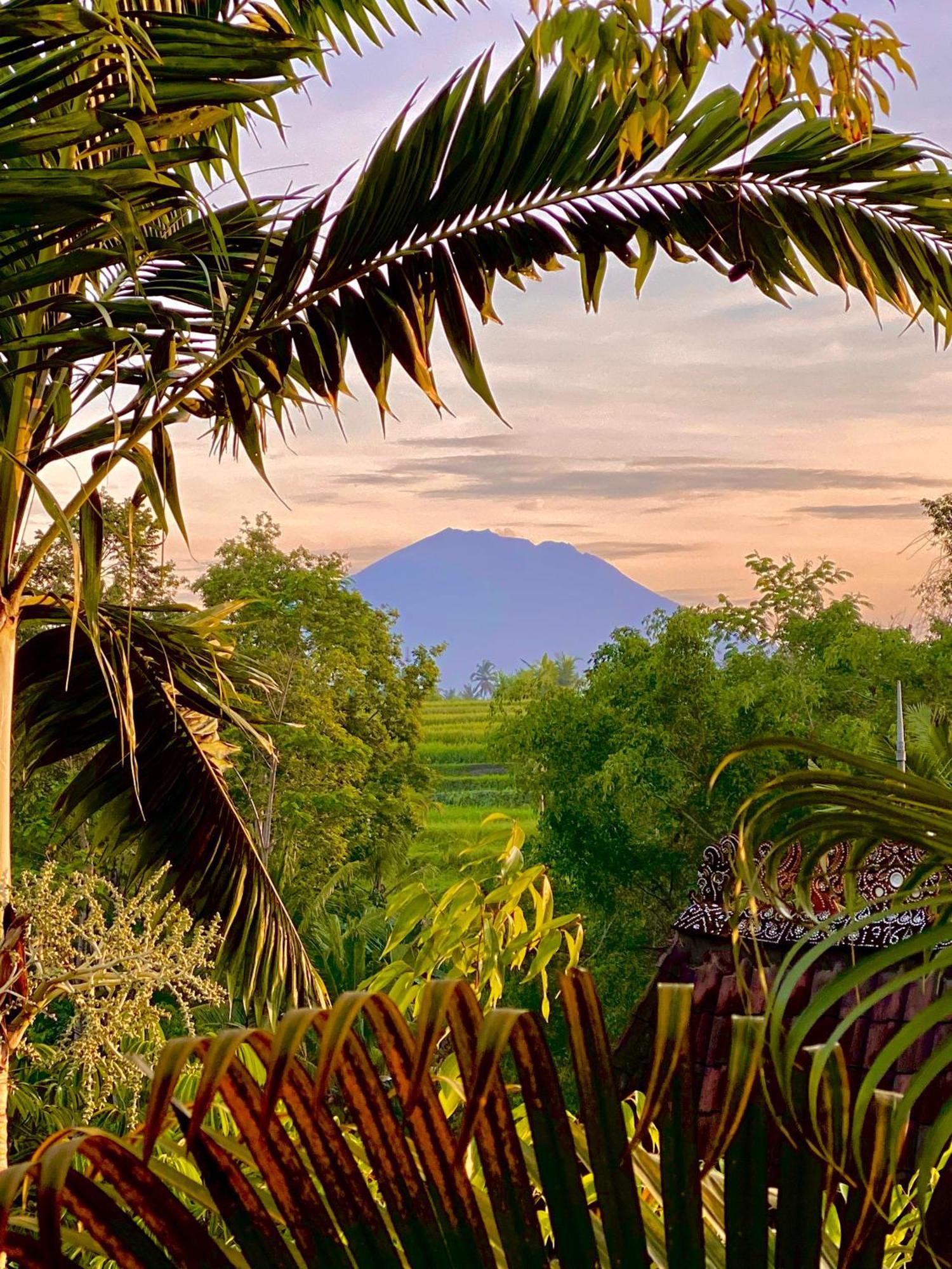 Lumina Residences And Wellness Sanctuary Ubud Eksteriør billede